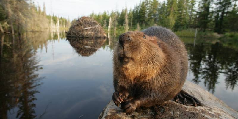 Хабыкский заказник